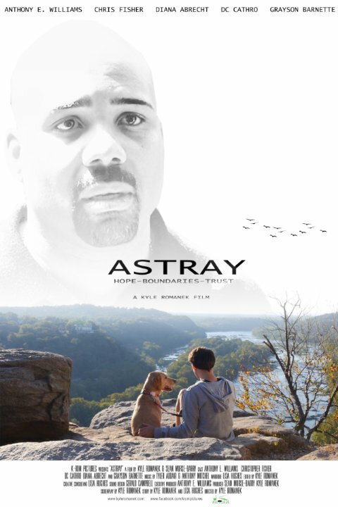 Постер Astray