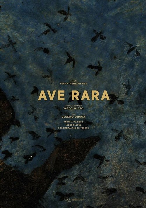 Постер Ave Rara
