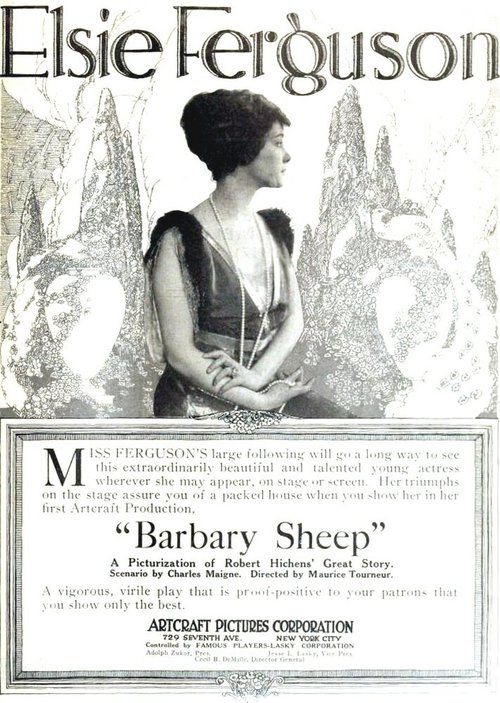 Постер Barbary Sheep