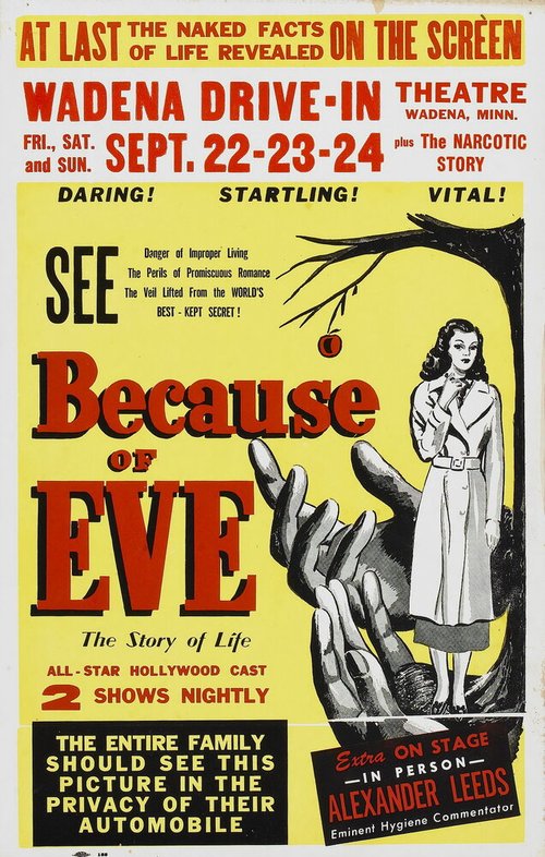 Постер Because of Eve