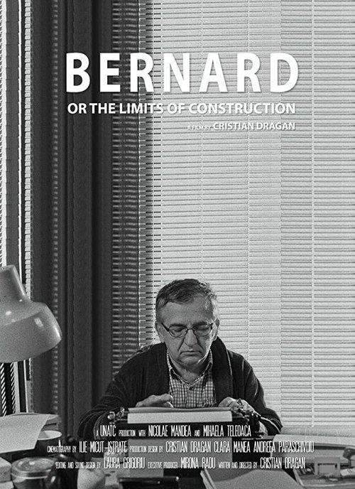 Постер Bernard or the Limits of Construction