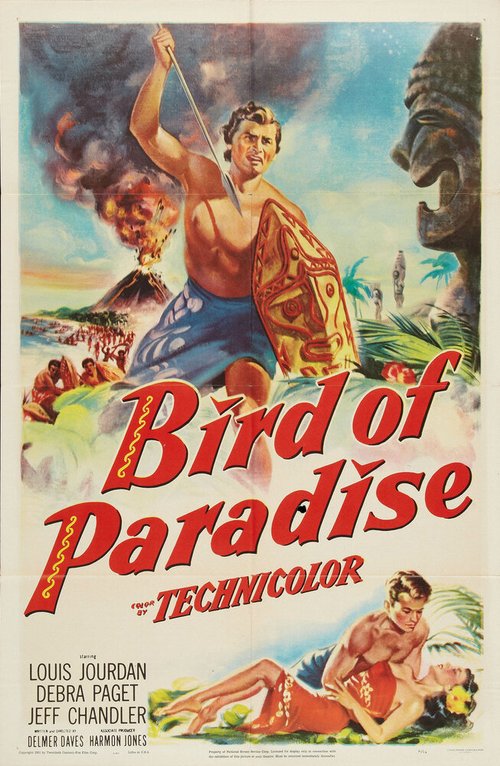 Постер Bird of Paradise