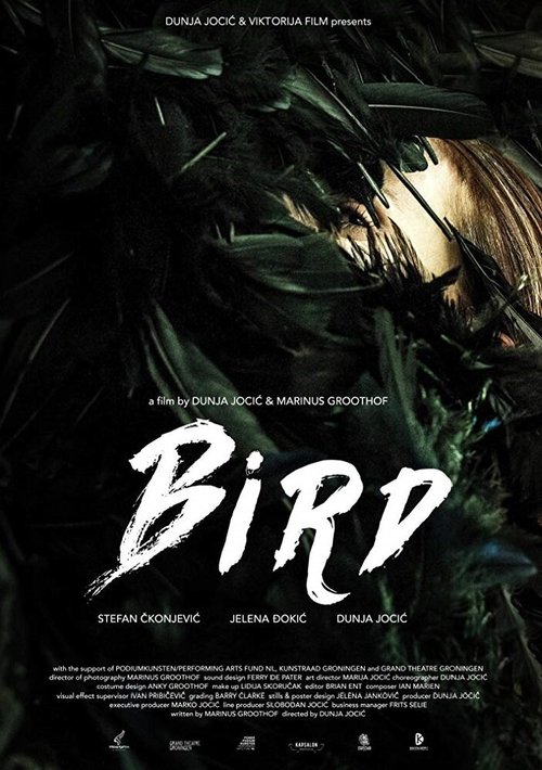 Постер Bird