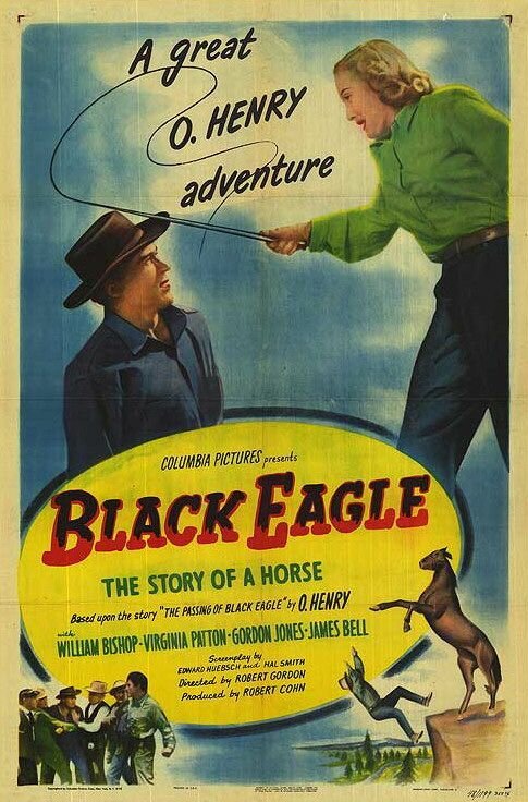 Постер Black Eagle