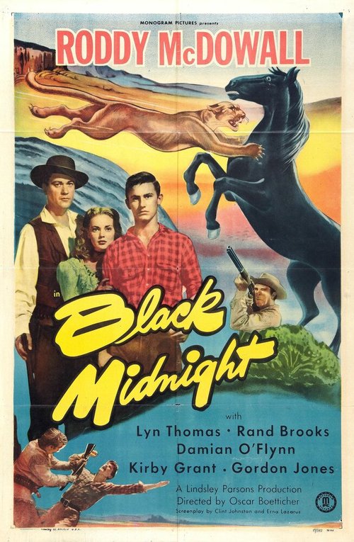 Постер Black Midnight