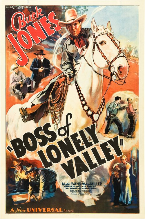 Постер Boss of Lonely Valley