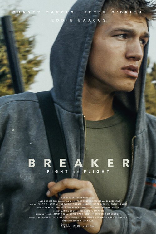 Постер Breaker