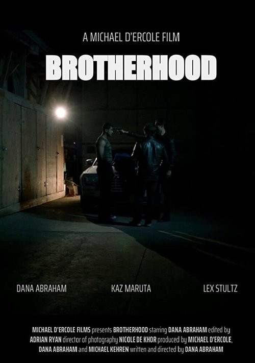 Постер Brotherhood