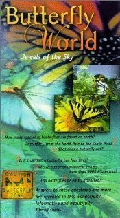 Постер Butterfly World