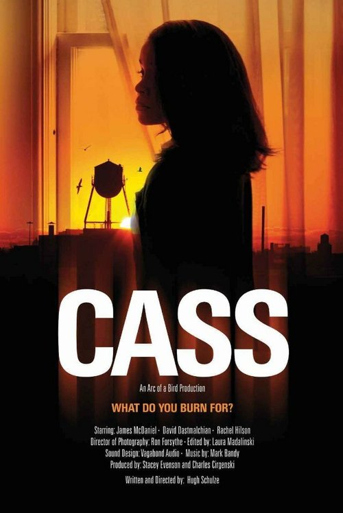 Постер Cass