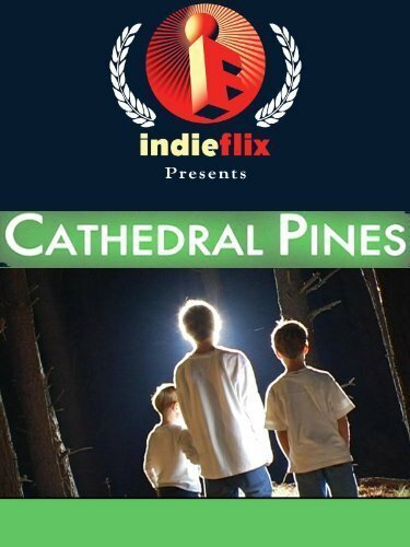 Постер Cathedral Pines