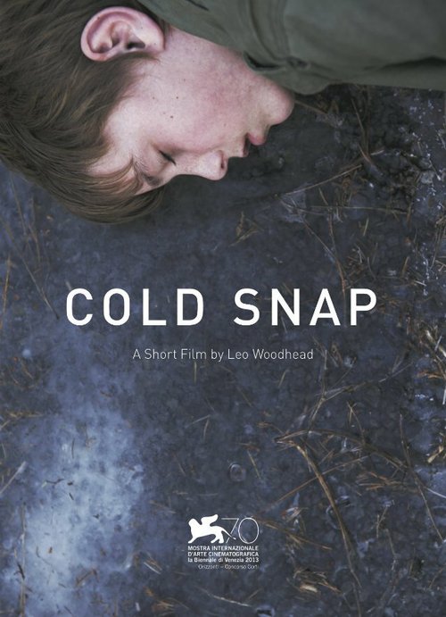 Постер Cold Snap