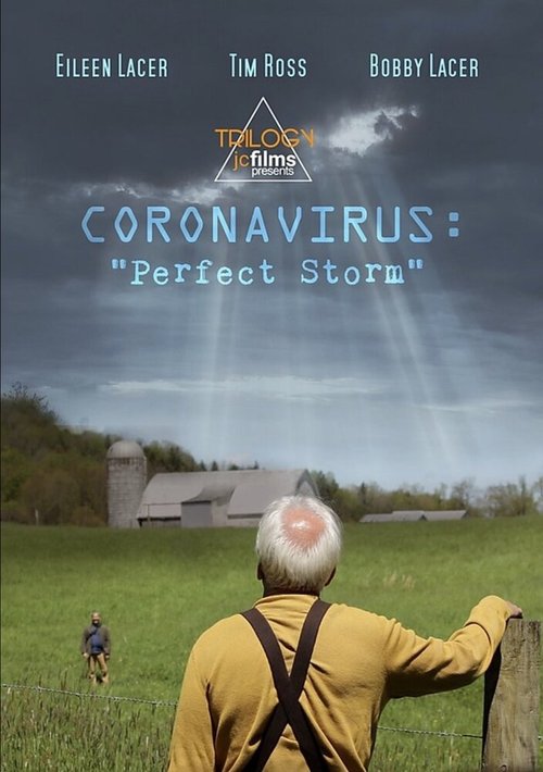 Coronavirus: Perfect Storm скачать фильм торрент