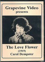 Постер Цветок любви