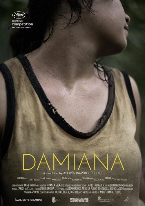 Постер Дамиана