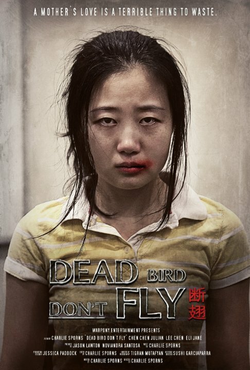 Постер Dead Bird Don't Fly