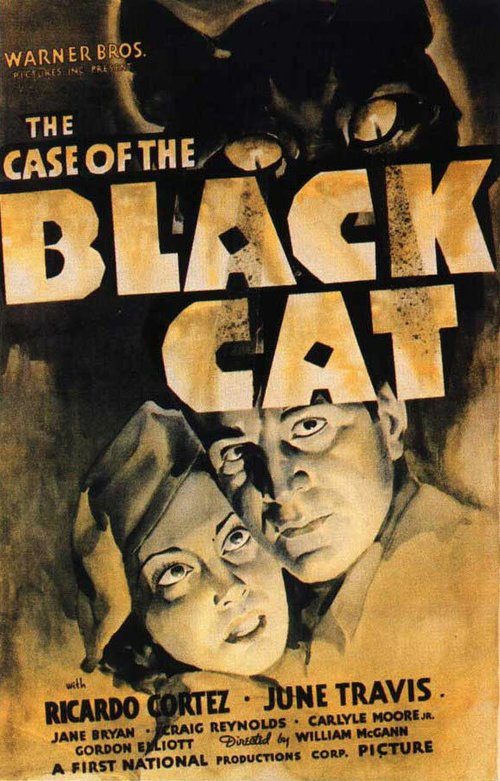 Постер Дело о черном коте