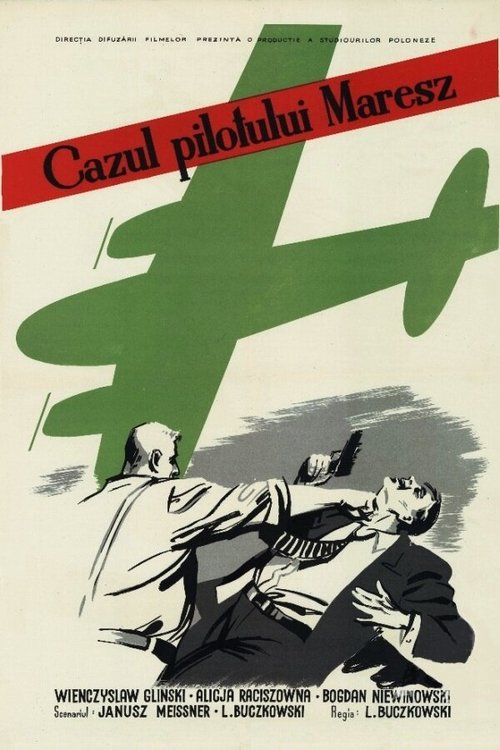 Постер Дело пилота Мареша