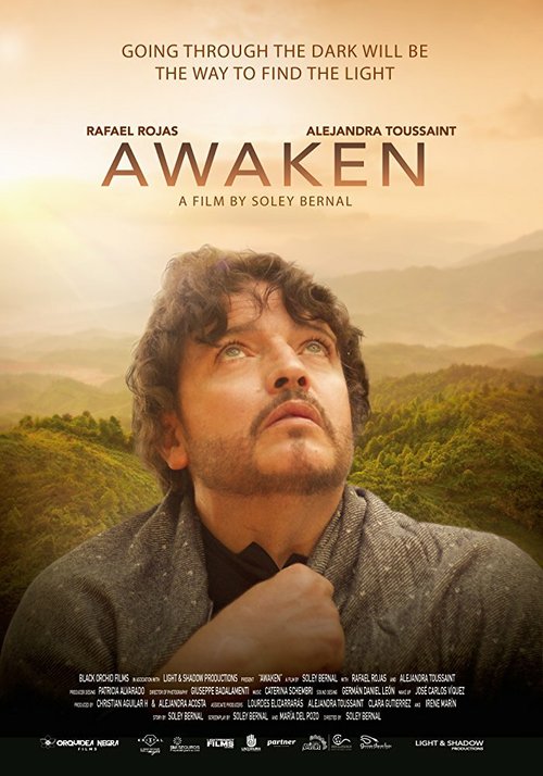 Постер Despertar: Awaken