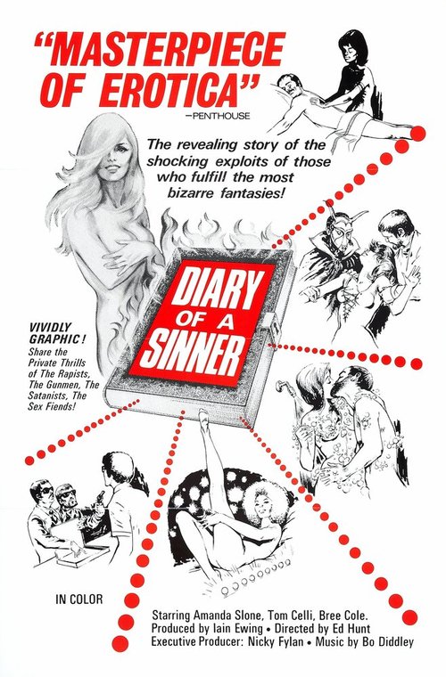 Постер Diary of a Sinner
