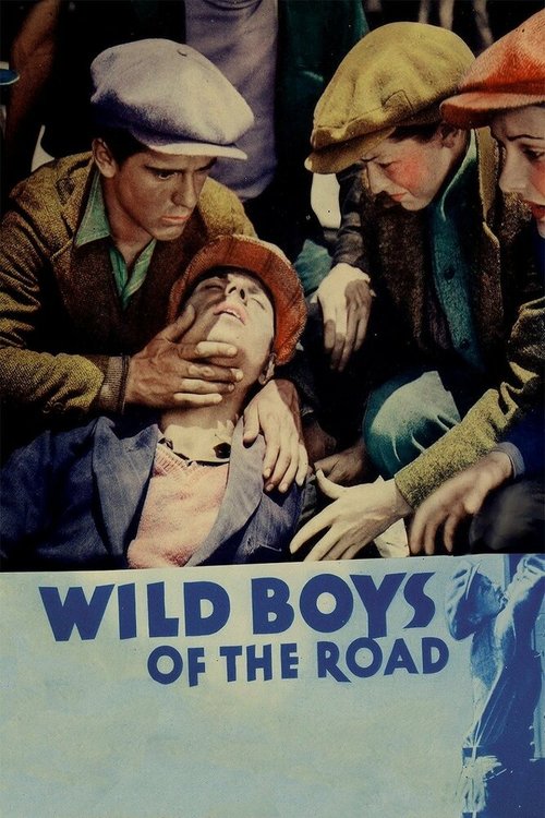 Постер Дикие парни с дороги
