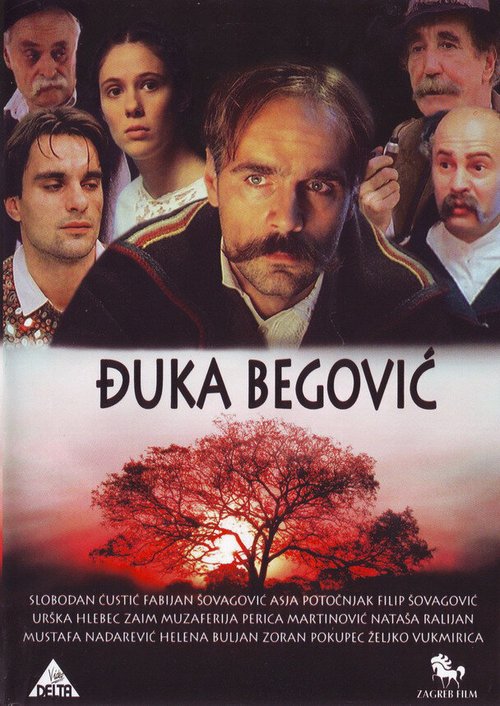 Постер Djuka Begovic