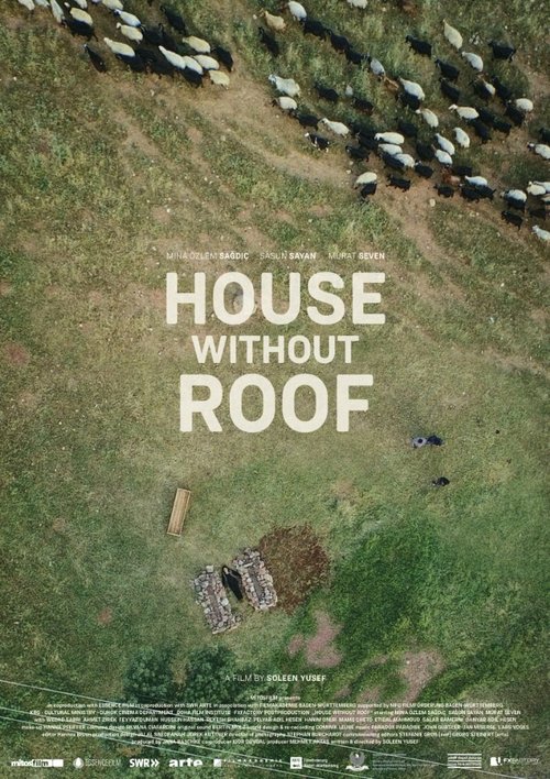 Постер Дом без крыши
