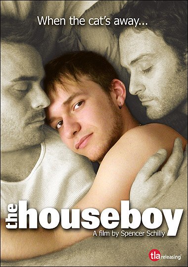 Постер Домашний мальчик