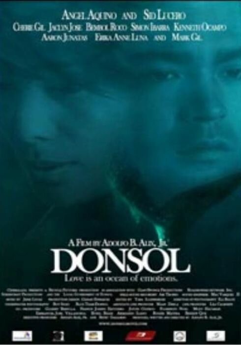 Постер Донсол