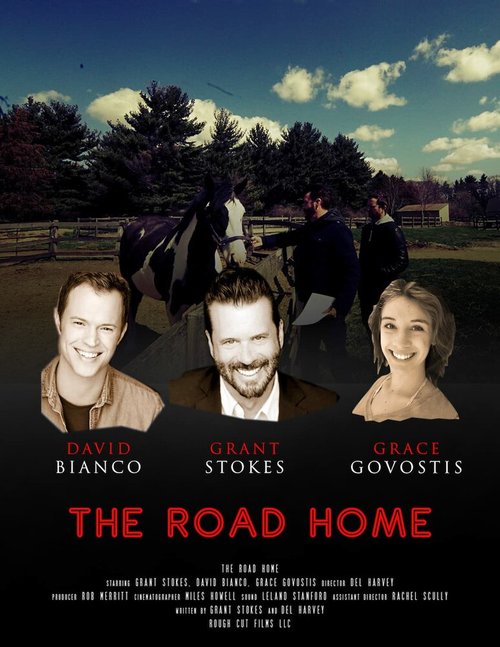 Постер Дорога домой