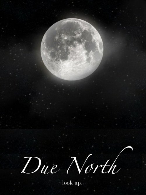 Постер Due North