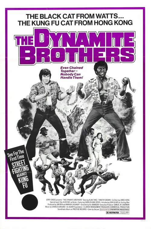 Постер Dynamite Brothers