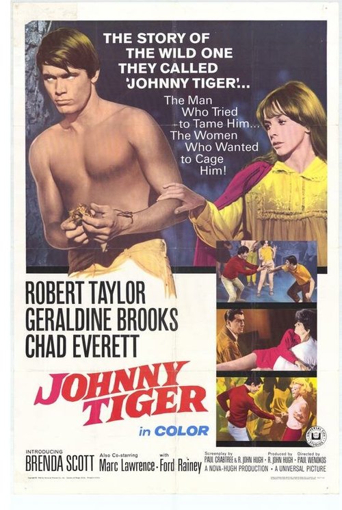 Постер Джонни Тигр