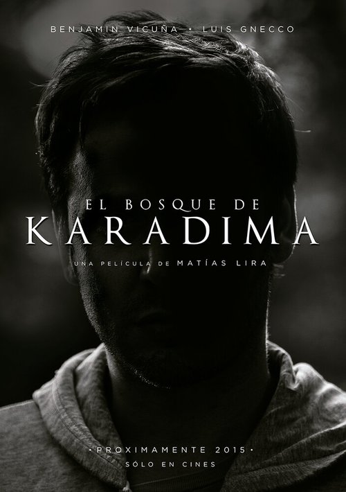 Постер El Bosque de Karadima
