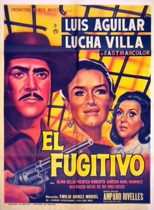 Постер El fugitivo