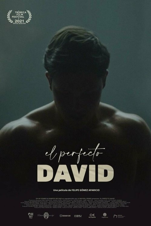 Постер El perfecto David