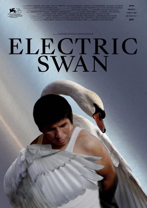 Постер Electric Swan