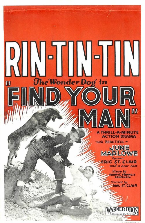 Постер Find Your Man