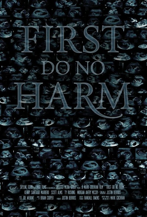 Постер First, Do No Harm
