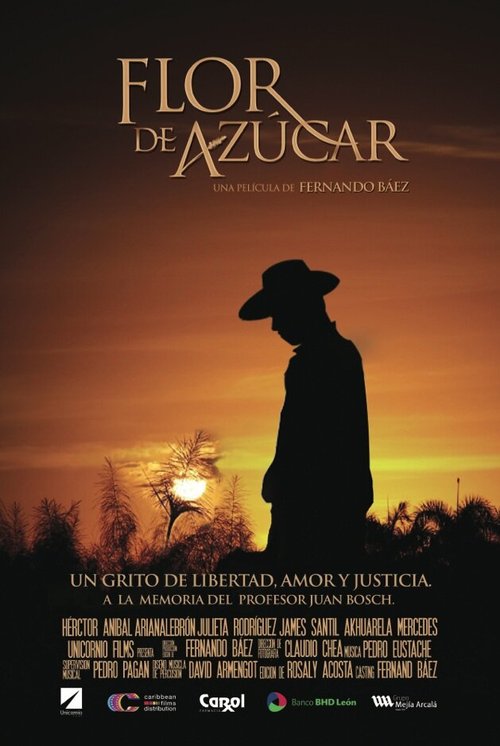 Flor de Azúcar скачать фильм торрент