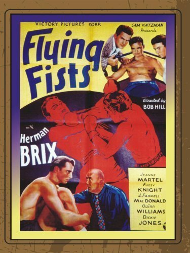Постер Flying Fists