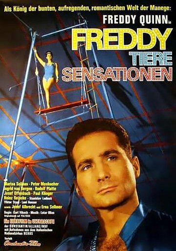 Постер Freddy, Tiere, Sensationen