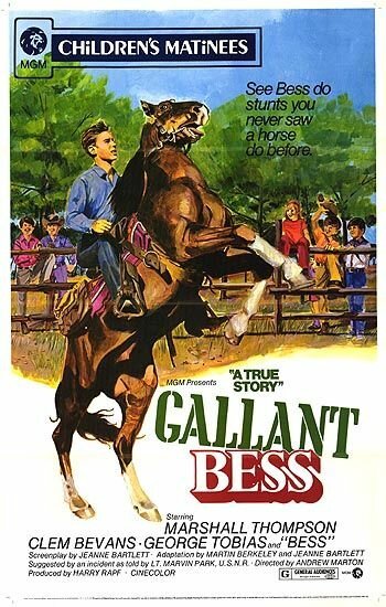 Постер Gallant Bess
