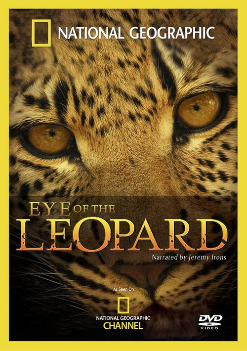 Постер Глазами леопарда