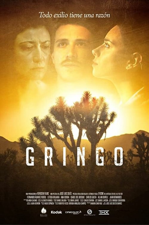Постер Gringo