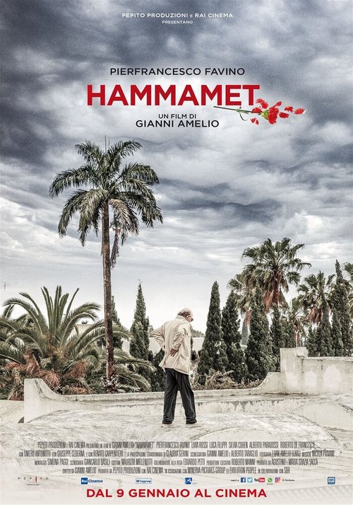 Постер Хаммамет