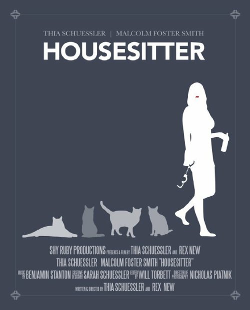 Постер Housesitter