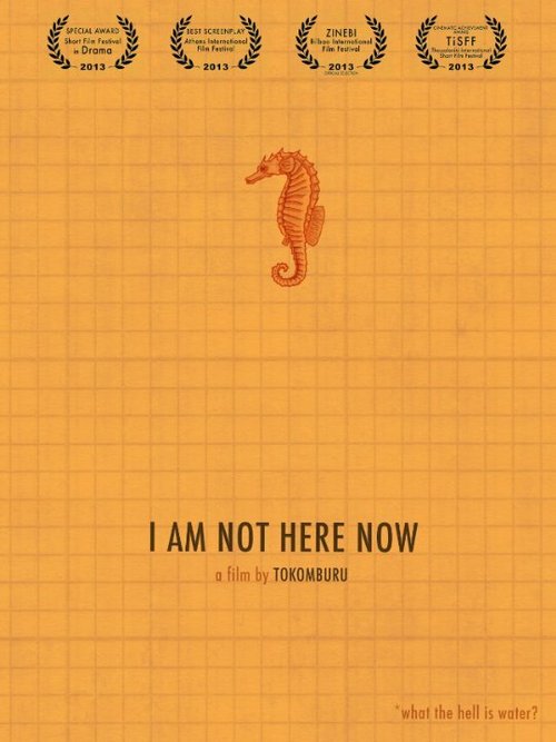 Постер I Am Not Here Now
