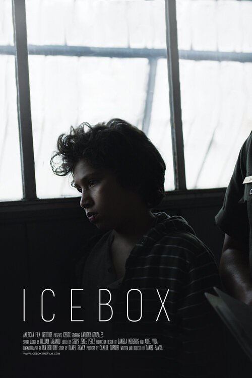Постер Icebox