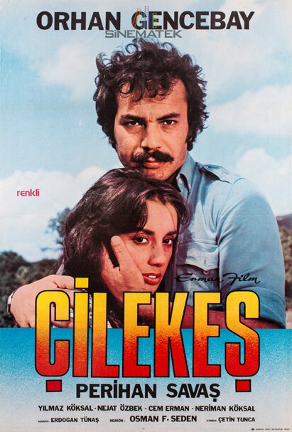 Постер Çilekes
